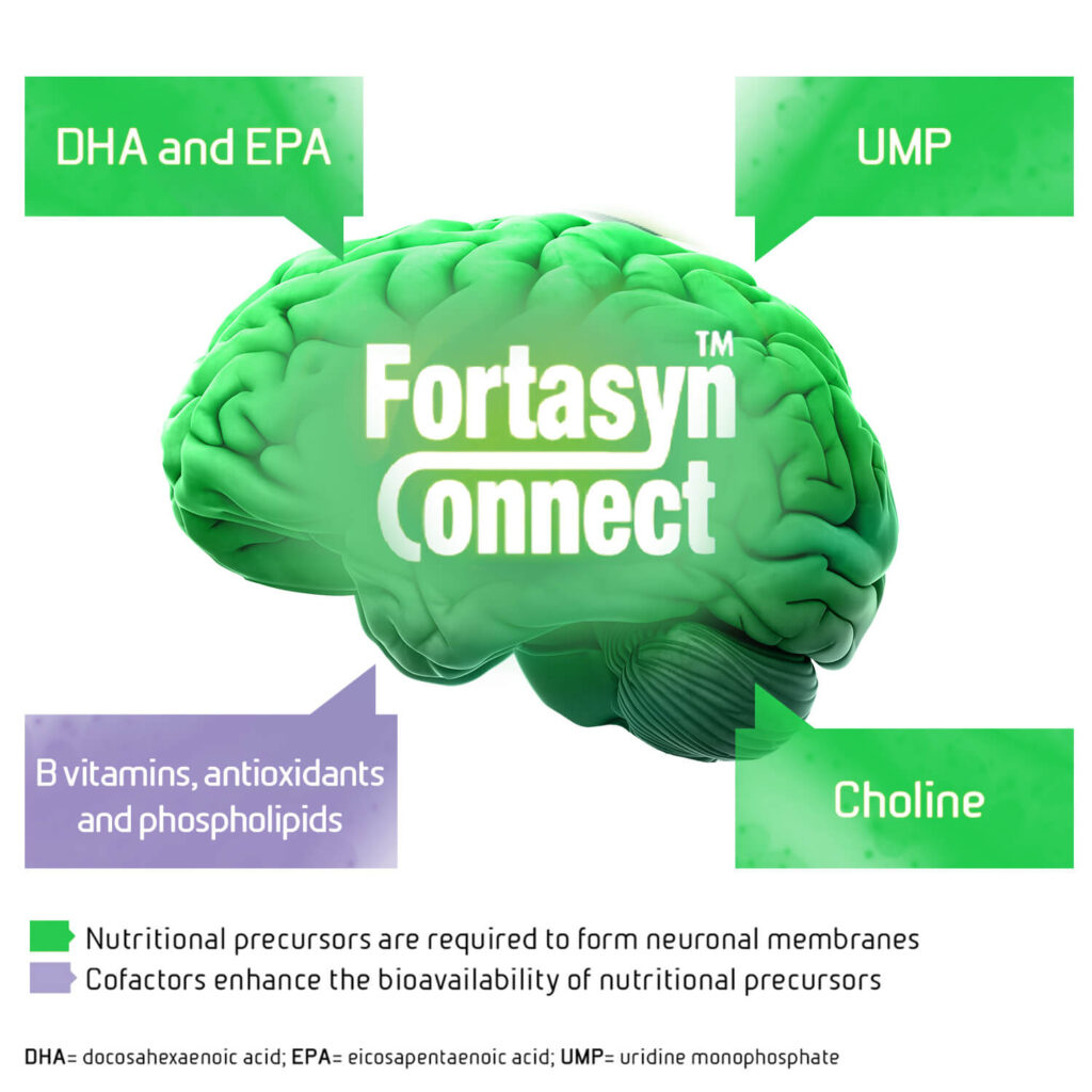 SOUV0019-Fortasyn-Connect-Brain-1500x1500-v2