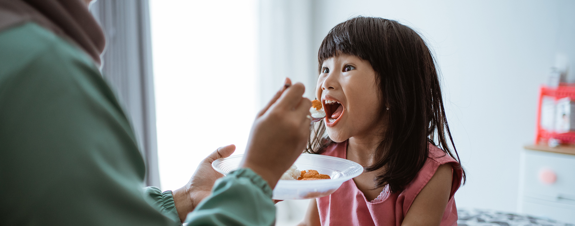 Everything you ever wanted to know about fussy eaters