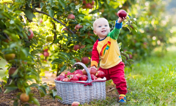 Toddler with apple