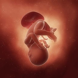 Baby is as big as a Queensland Blue pumpkin