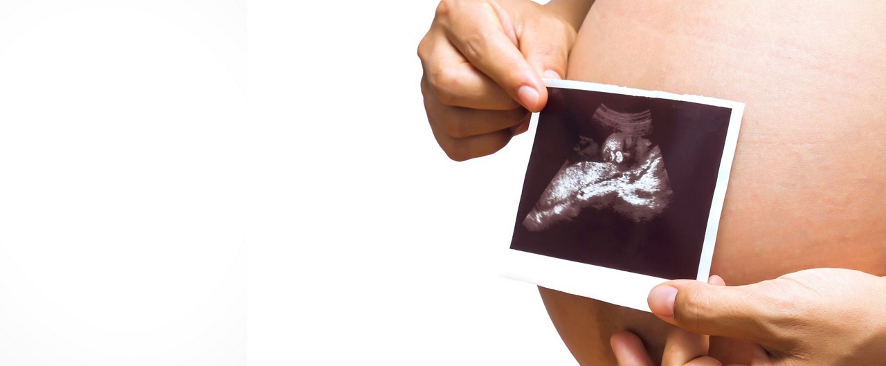 Second Trimester - Pregnancy Development