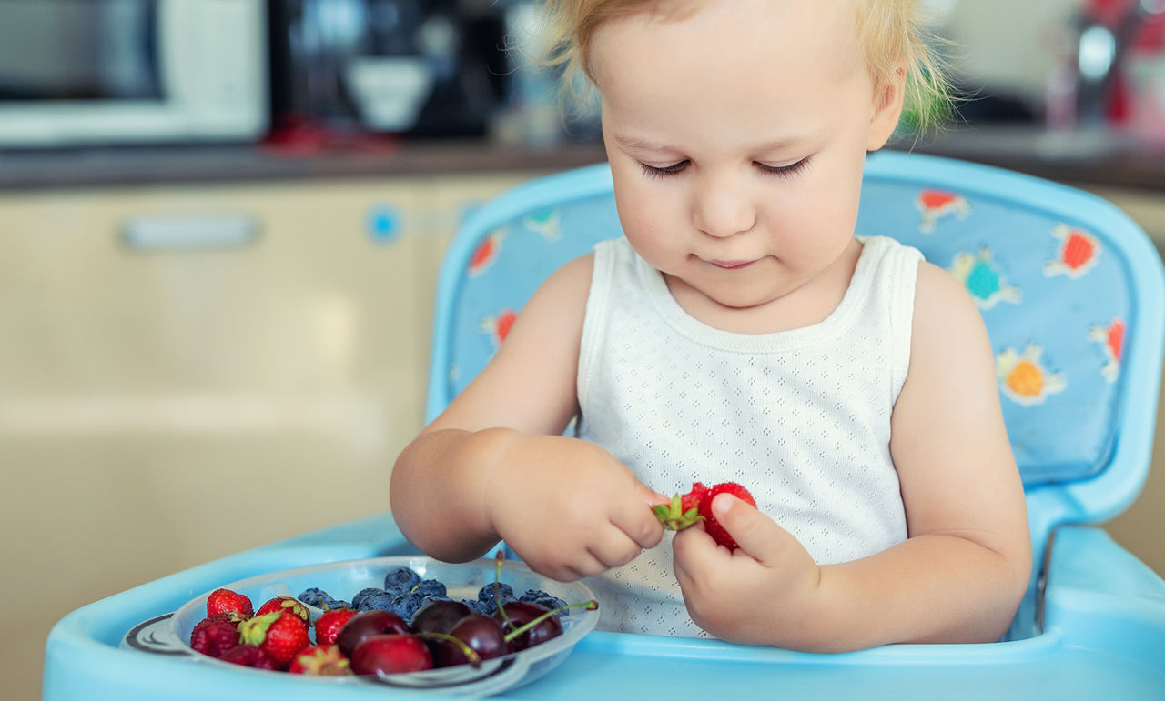 Feeding your toddler to support their immune system