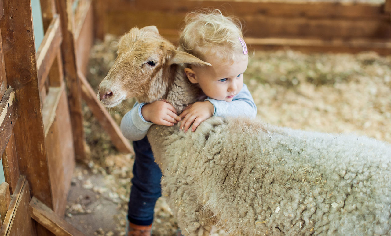 How to boost your baby’s immune system