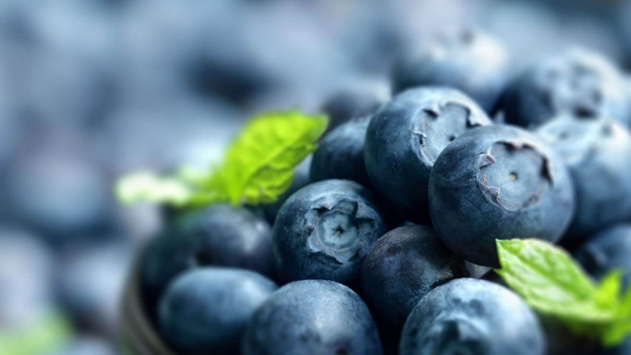 Superfoods in Pregnancy | What Foods To Eat | Aptaclub