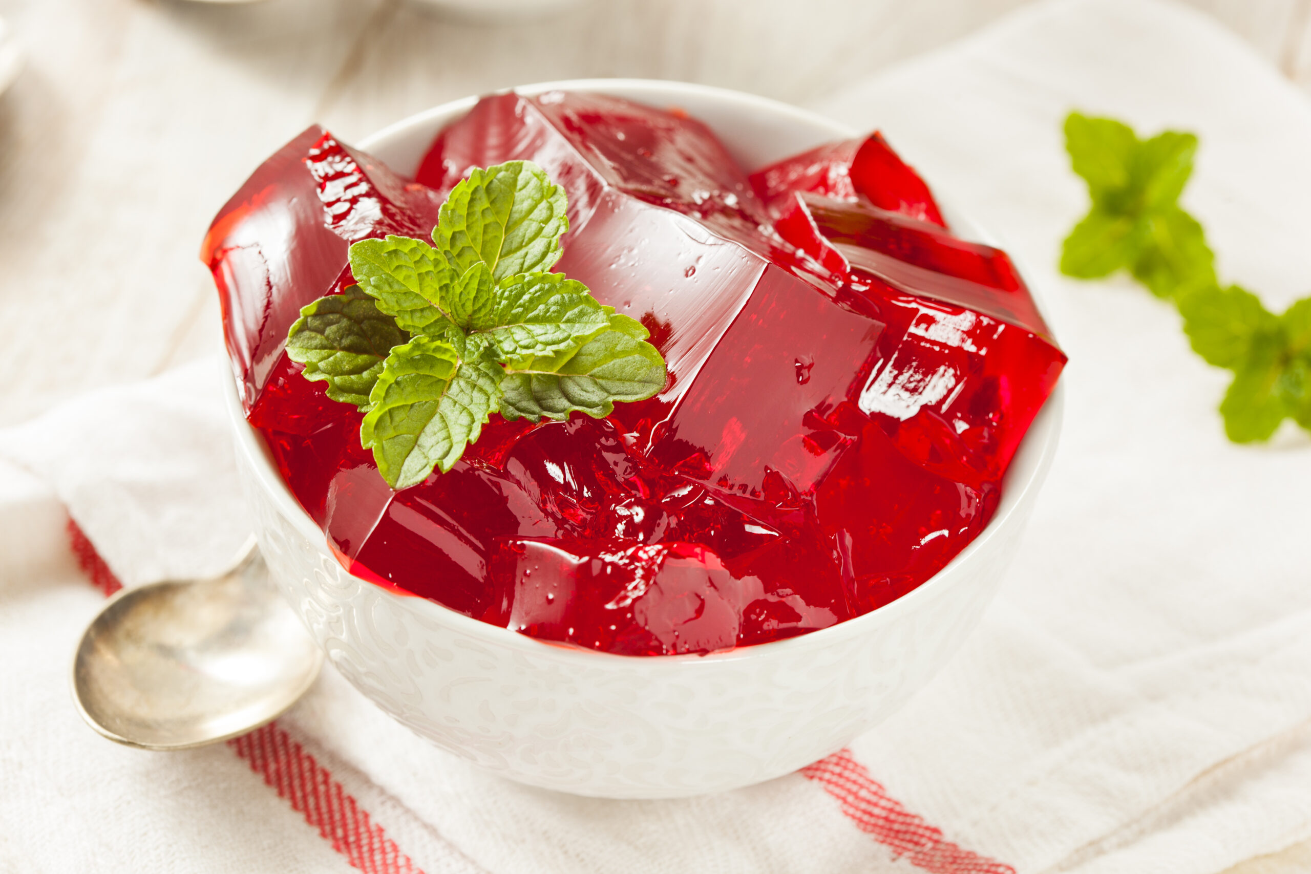 Fortijuice Recipe: Homemade Red Cherry Gelatin Dessert in a Bowl by Nutricia