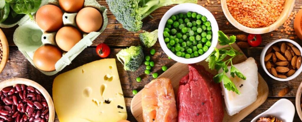 Sources of protein