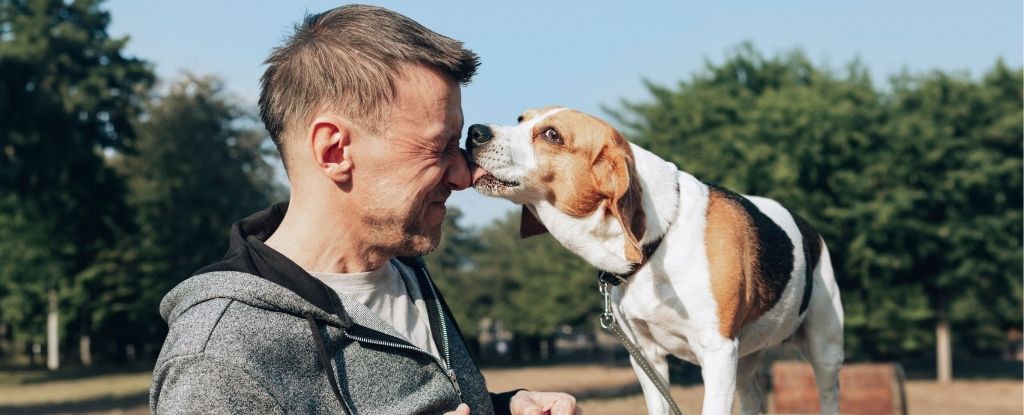 A man and a dog licking his nose.
