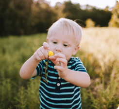 Toddler in a field