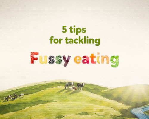 5 tips for tackling fussy eating