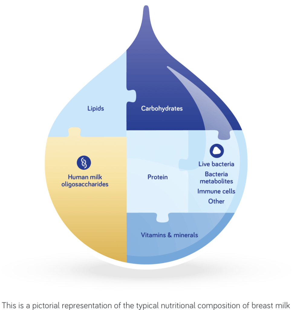 nutritional composition of breast milk