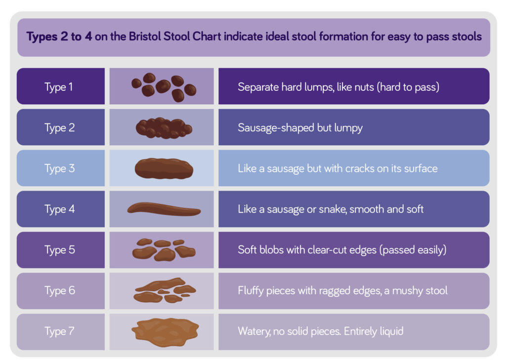 Illustrations and explanations of the different types of normal infant poo including hard lumps as signs of constipation.